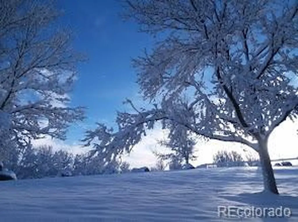 6791 Tiger Walk Lone Tree CO 80124