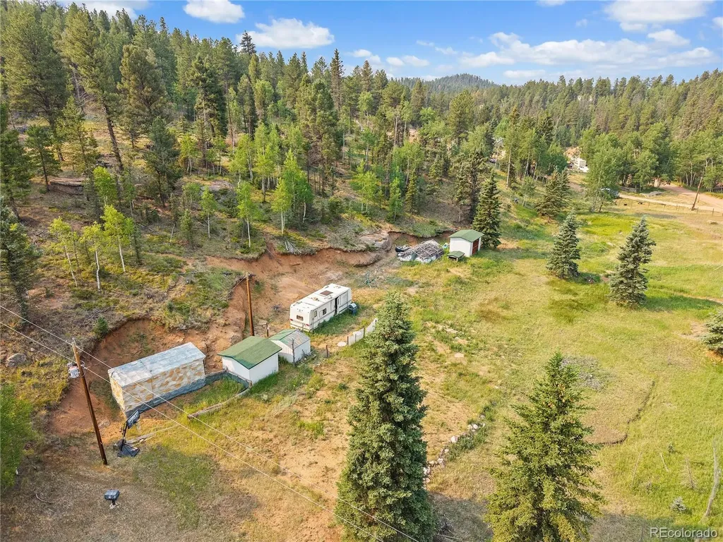 974 W Bison Creek Trail Divide CO 80814