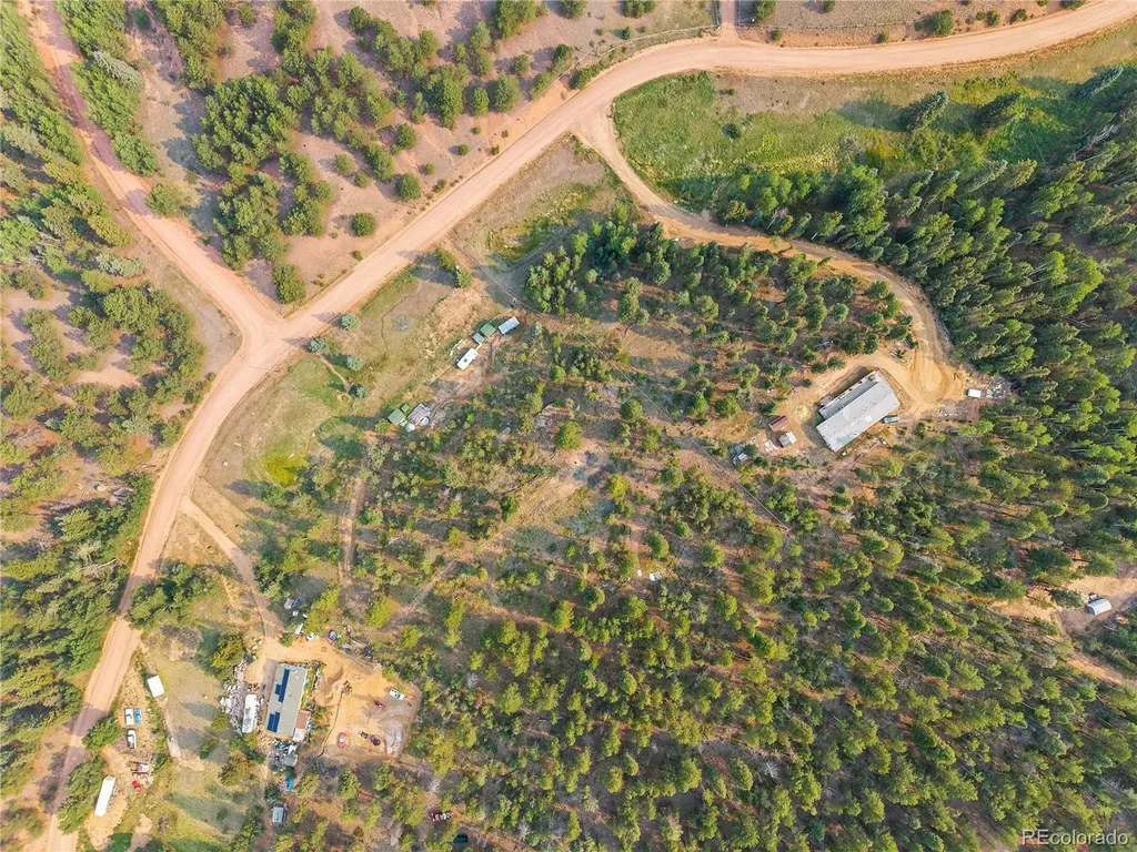 974 W Bison Creek Trail Divide CO 80814