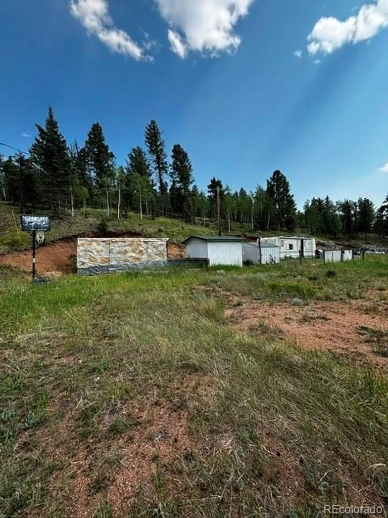 974 W Bison Creek Trail Divide CO 80814