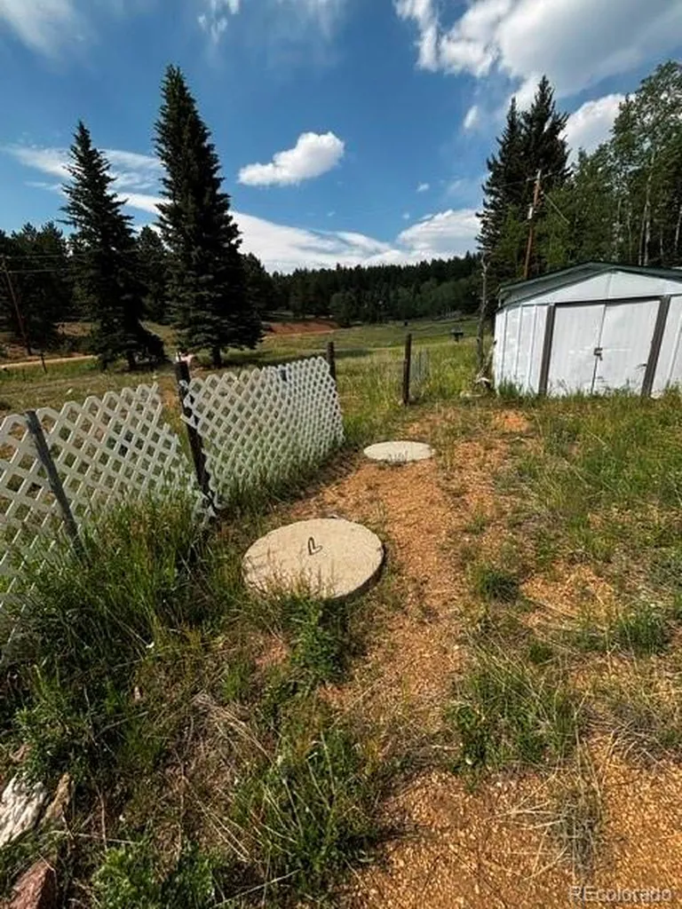 974 W Bison Creek Trail Divide CO 80814