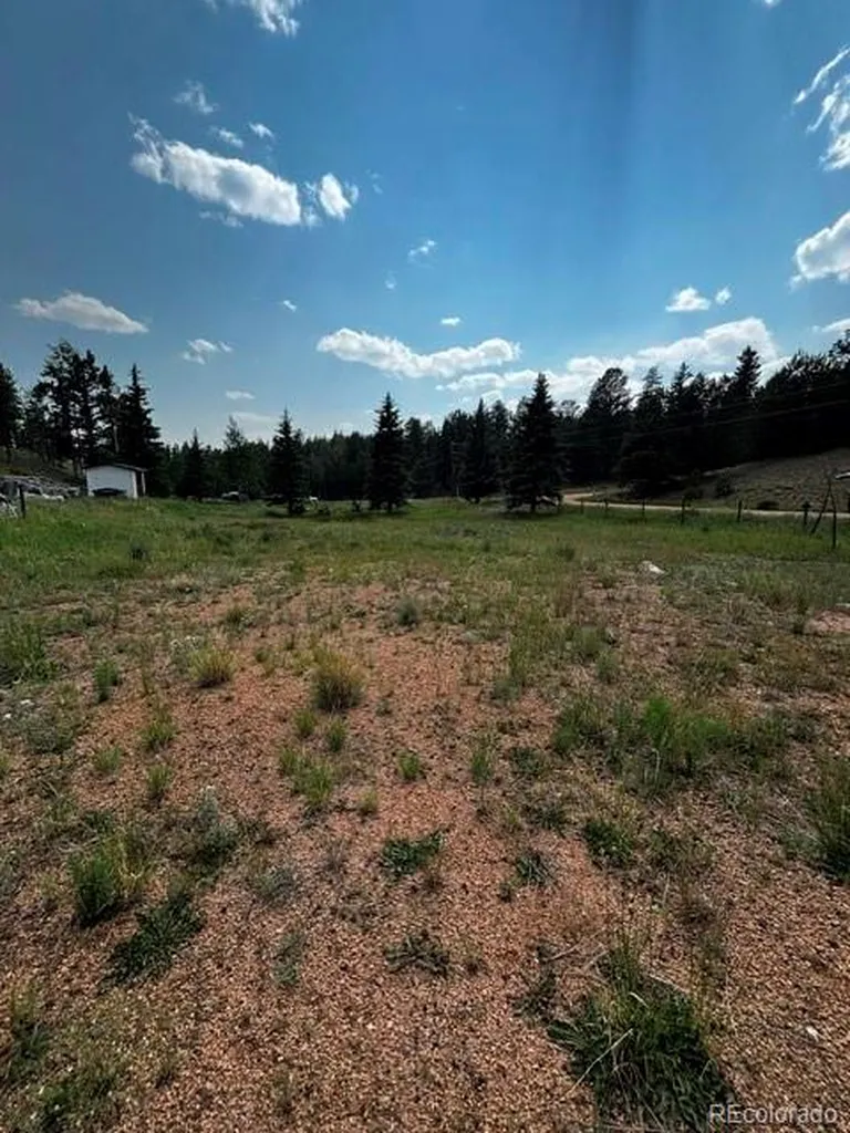 974 W Bison Creek Trail Divide CO 80814
