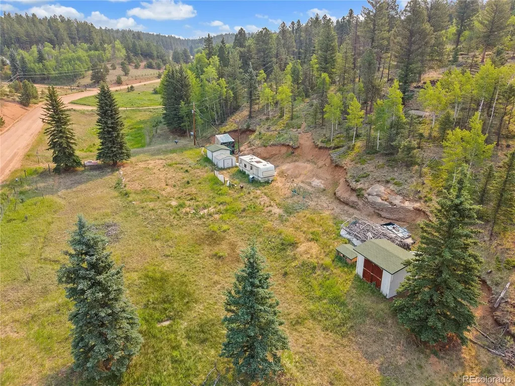 974 W Bison Creek Trail Divide CO 80814