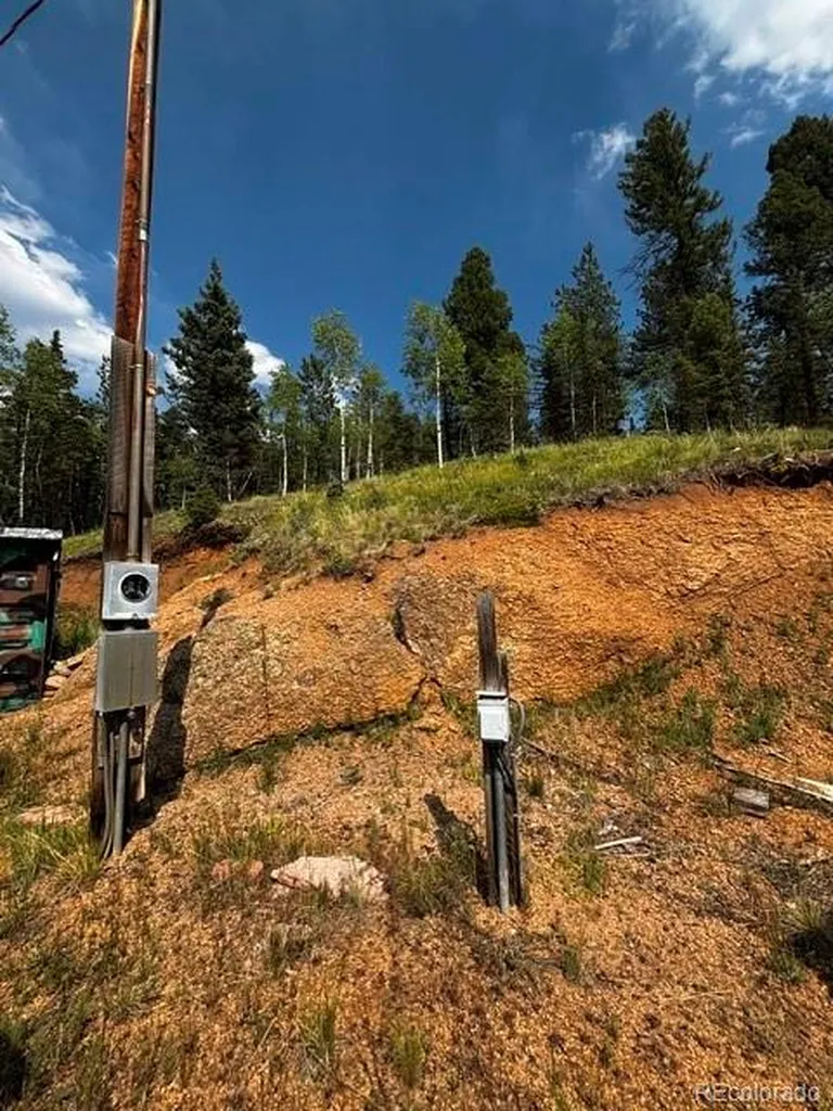 974 W Bison Creek Trail Divide CO 80814