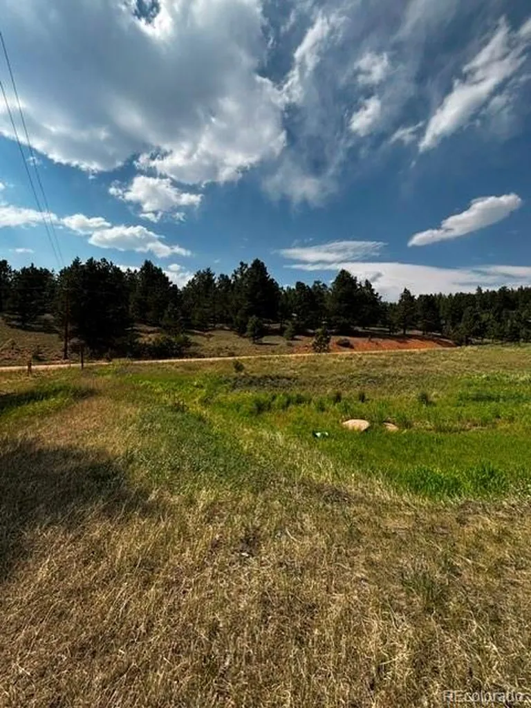 974 W Bison Creek Trail Divide CO 80814