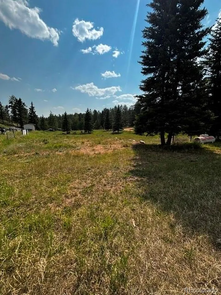 974 W Bison Creek Trail Divide CO 80814