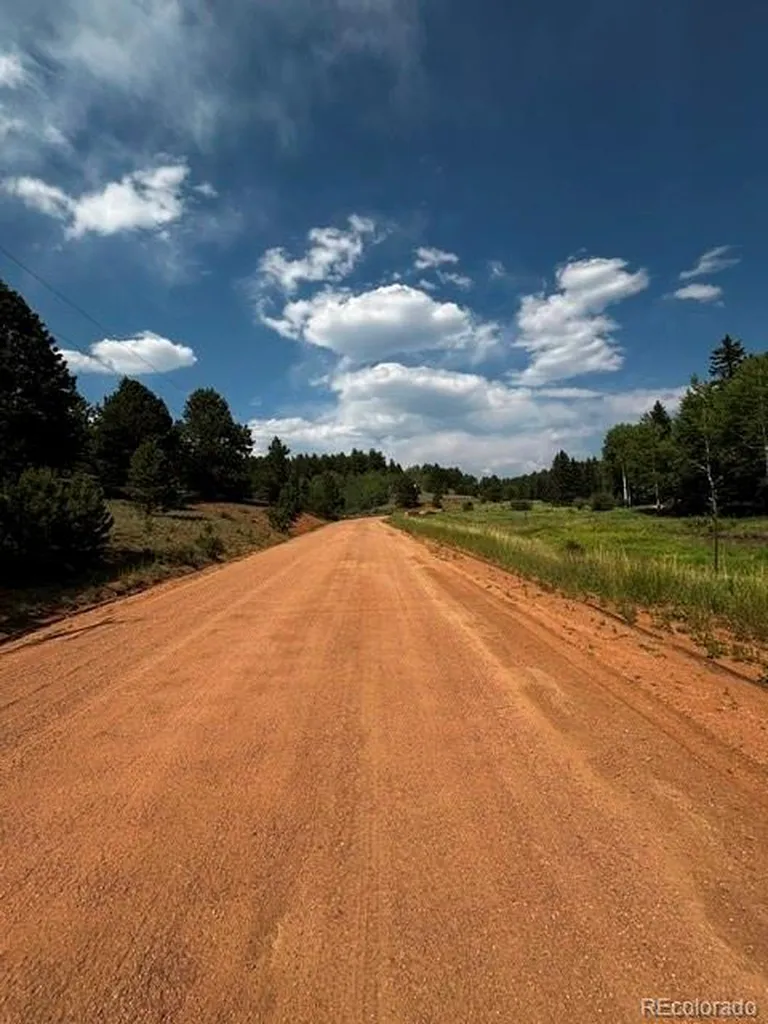 974 W Bison Creek Trail Divide CO 80814