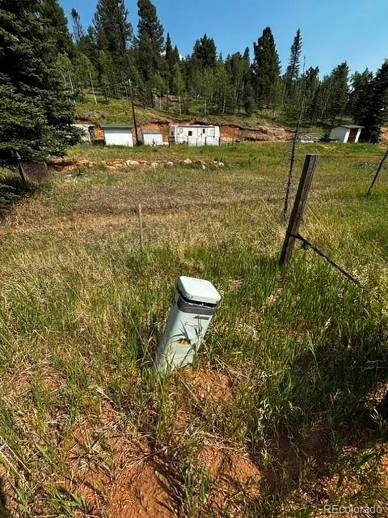 974 W Bison Creek Trail Divide CO 80814