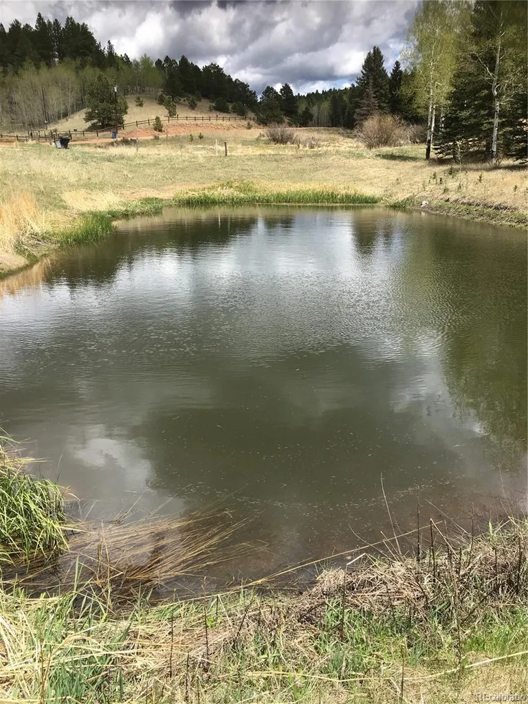 974 W Bison Creek Trail Divide CO 80814