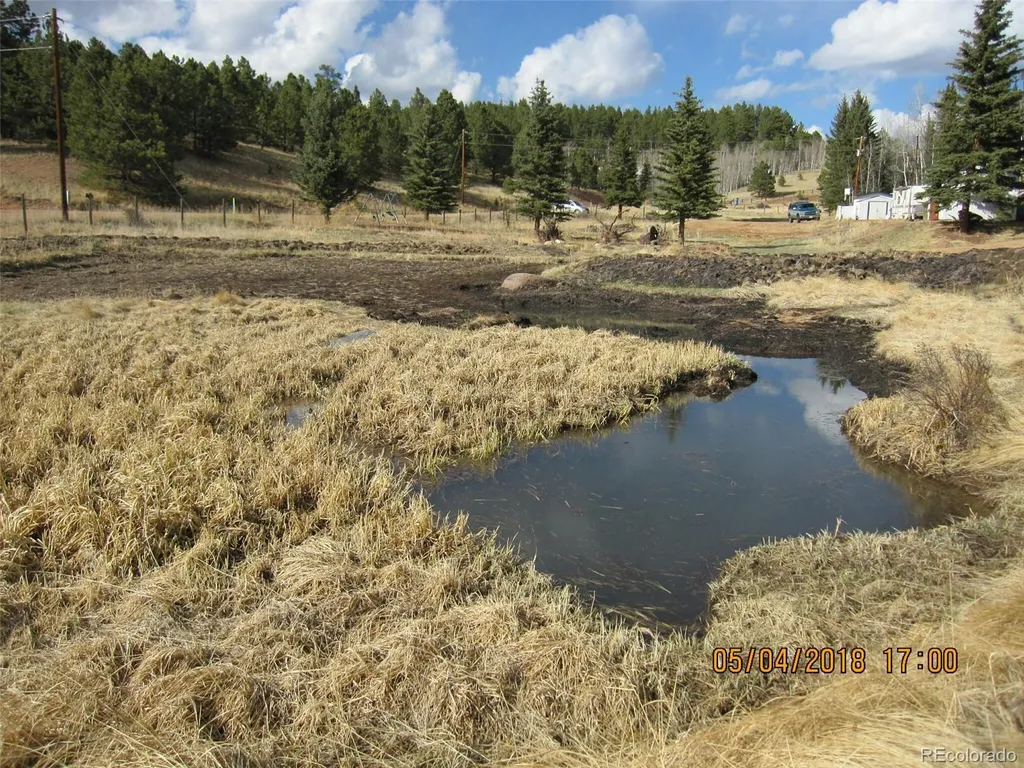 974 W Bison Creek Trail Divide CO 80814