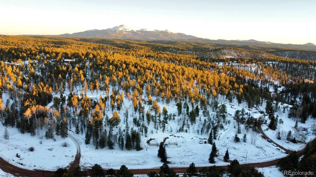 974 W Bison Creek Trail Divide CO 80814