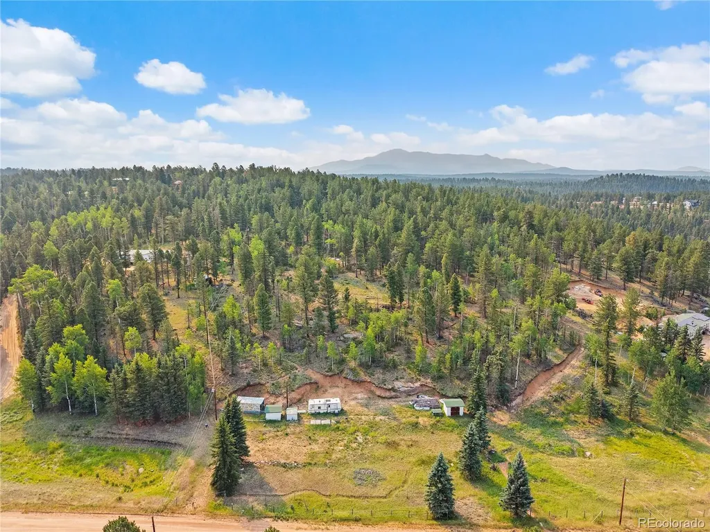 974 W Bison Creek Trail Divide CO 80814