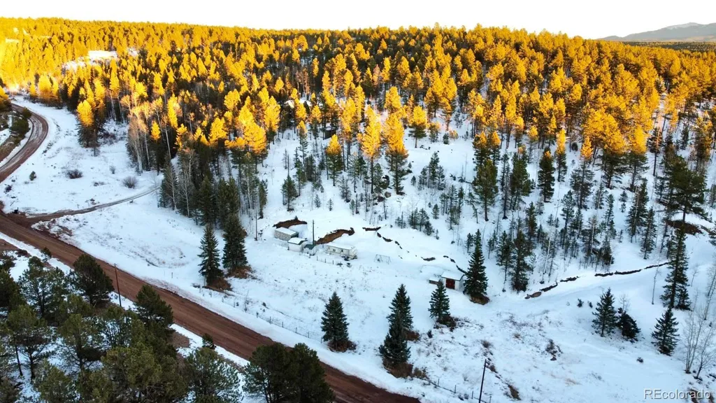 974 W Bison Creek Trail Divide CO 80814