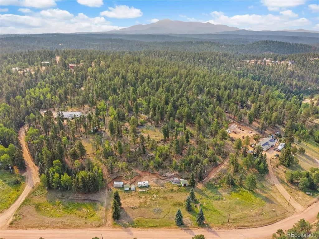 974 W Bison Creek Trail Divide CO 80814