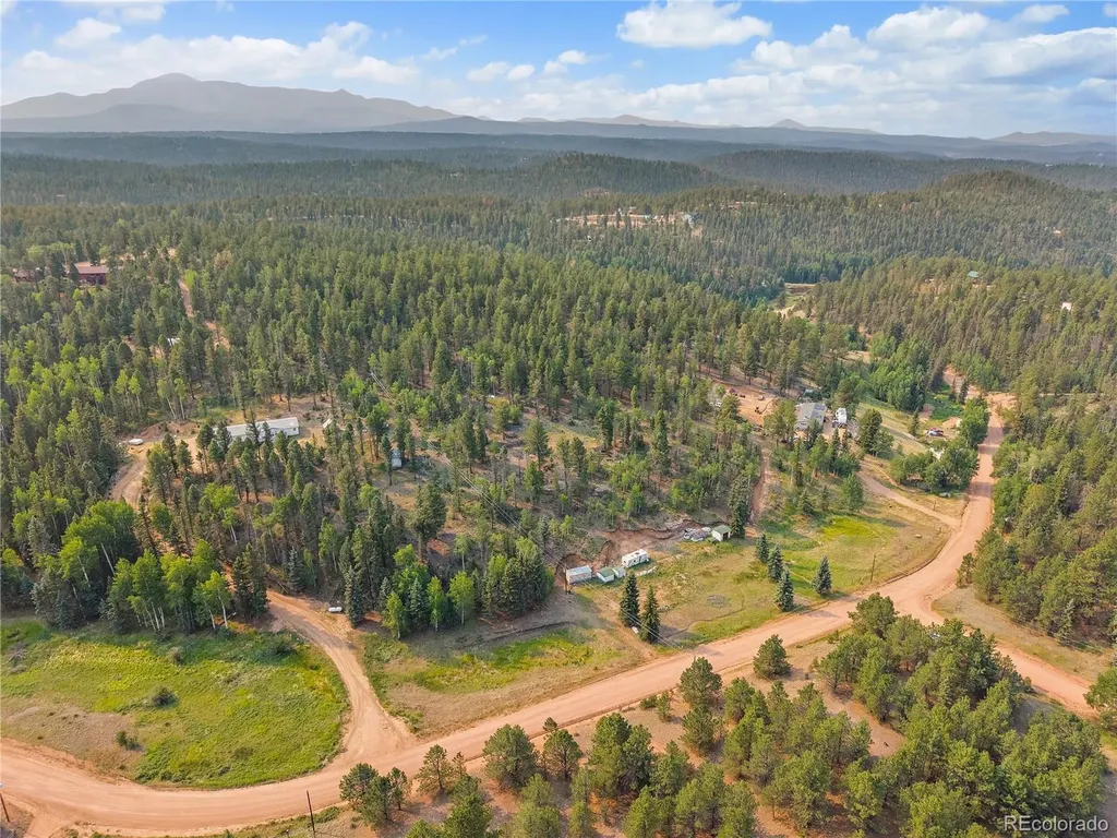 974 W Bison Creek Trail Divide CO 80814
