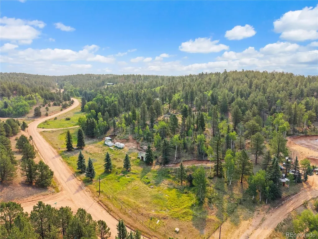 974 W Bison Creek Trail Divide CO 80814