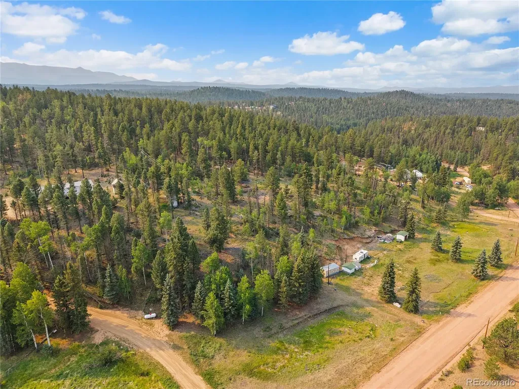 974 W Bison Creek Trail Divide CO 80814