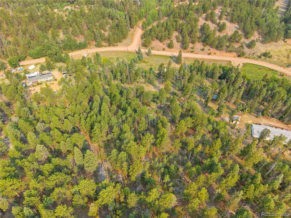 974 W Bison Creek Trail Divide CO 80814
