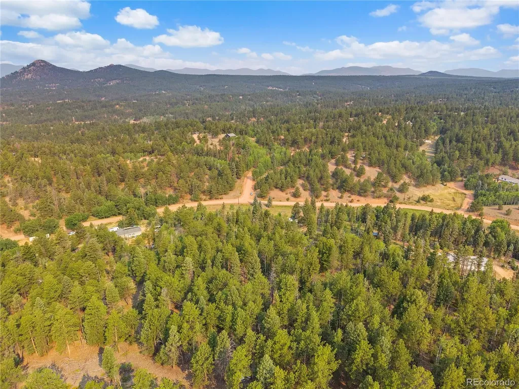974 W Bison Creek Trail Divide CO 80814