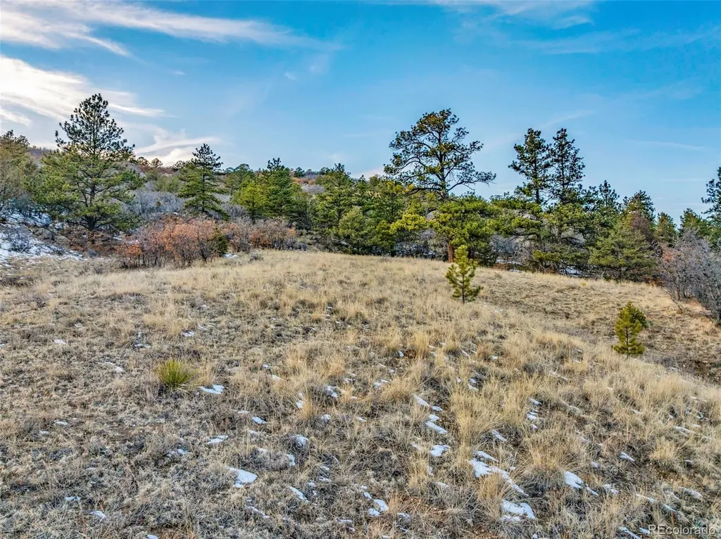 Taylor Trail Canon City CO 81212