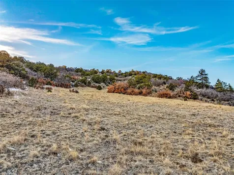 Taylor Trail Canon City CO 81212
