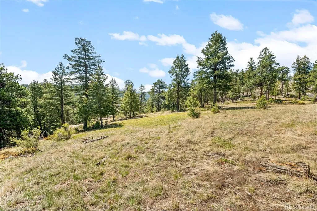 6351 Canyon Creek Road Evergreen CO 80439