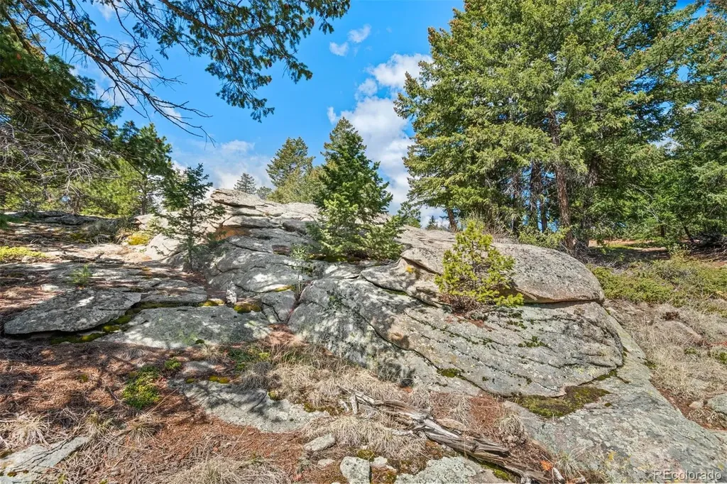 6351 Canyon Creek Road Evergreen CO 80439
