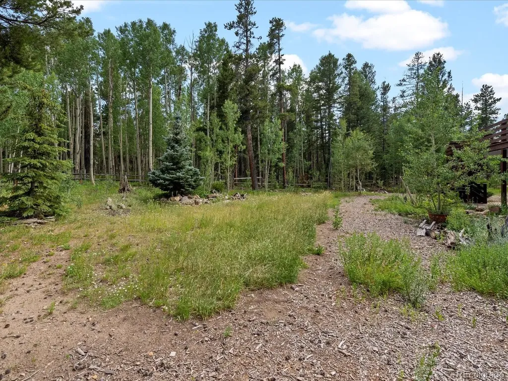 591 Creekwood Trail Black Hawk CO 80422