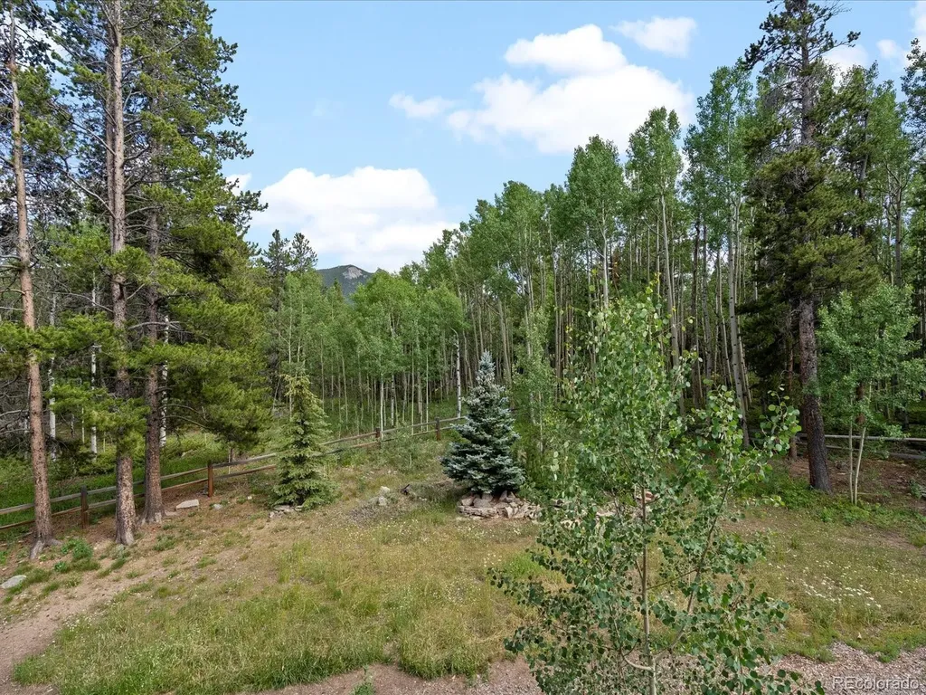 591 Creekwood Trail Black Hawk CO 80422
