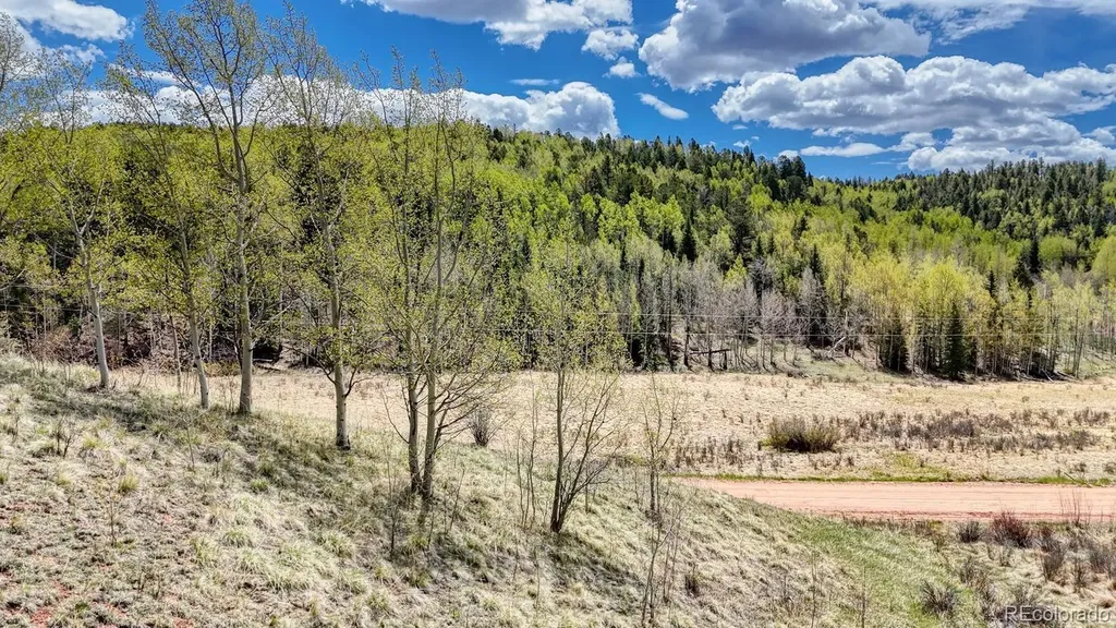2031 Gold King Drive Cripple Creek CO 80813