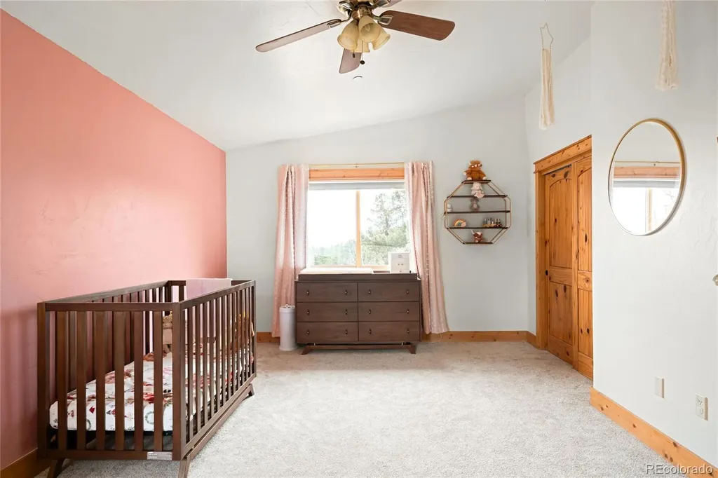 229 Mohawk Trail Pine CO 80470