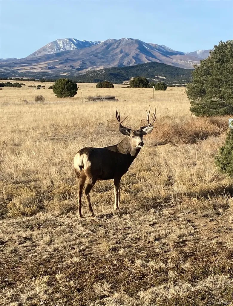 2911 County Road 524 Walsenburg CO 81089