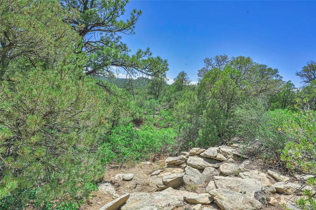Fishers Peak Ranch Lot 14 Trinidad CO 81082