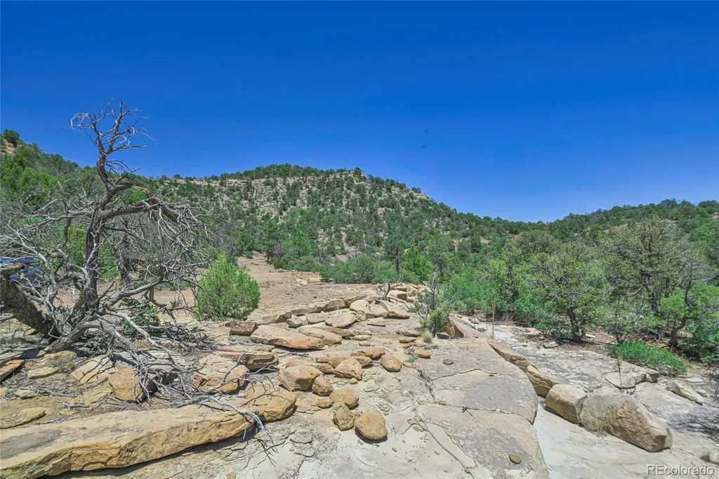 Fishers Peak Ranch Lot 14 Trinidad CO 81082