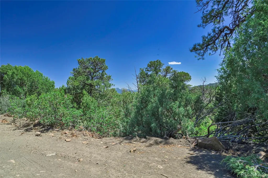 Fishers Peak Ranch Lot 14 Trinidad CO 81082