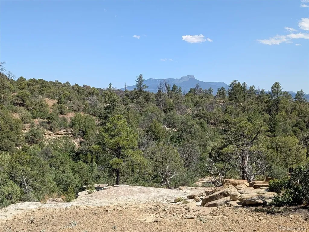 Fishers Peak Ranch Lot 14 Trinidad CO 81082