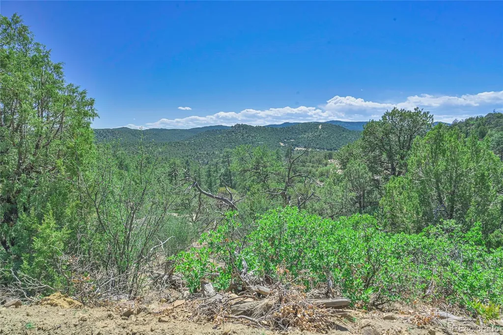 Fishers Peak Ranch Lot 14 Trinidad CO 81082