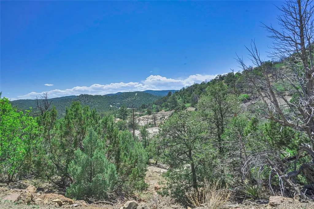 Fishers Peak Ranch Lot 14 Trinidad CO 81082