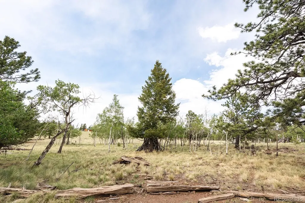355 Oahu Road Buena Vista CO 81211