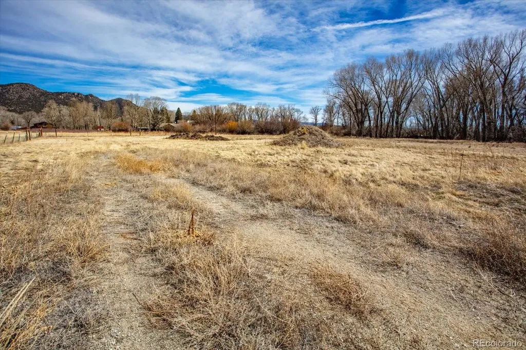 29571 County Road 350a Buena Vista CO 81211
