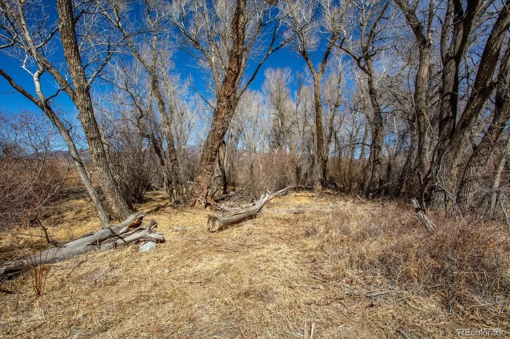 29571 County Road 350a Buena Vista CO 81211