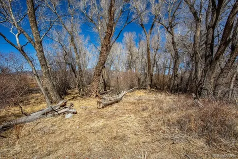 29571 County Road 350a Buena Vista CO 81211