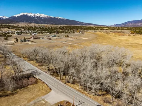 29571 County Road 350a Buena Vista CO 81211