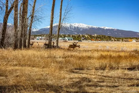 29571 County Road 350a Buena Vista CO 81211