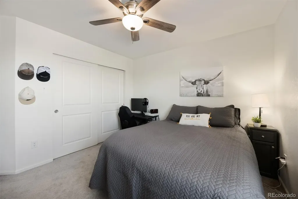 4605 Meadow Drive Dacono CO 80514