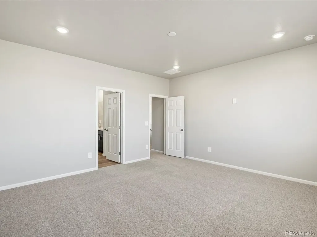 1625 Yampa River Drive Windsor CO 80550