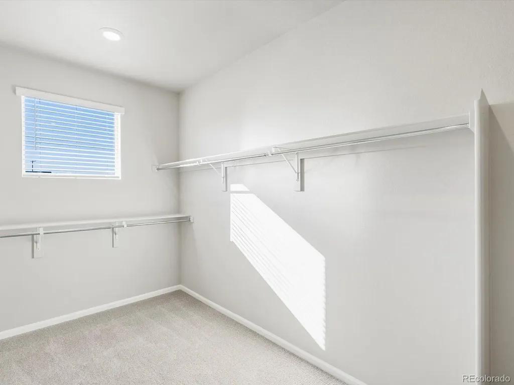 1625 Yampa River Drive Windsor CO 80550