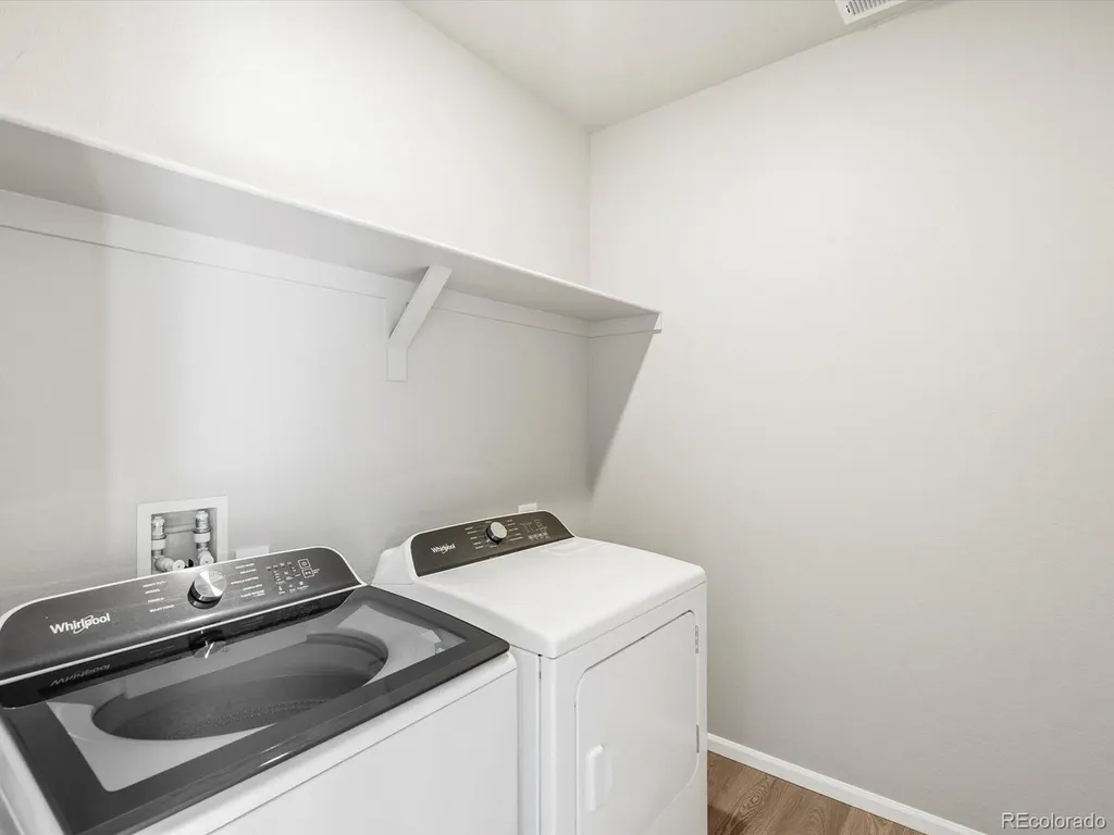 1625 Yampa River Drive Windsor CO 80550