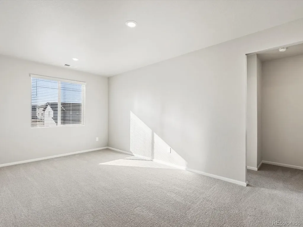 1625 Yampa River Drive Windsor CO 80550