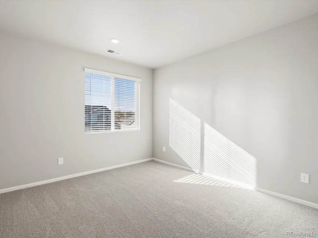 1625 Yampa River Drive Windsor CO 80550